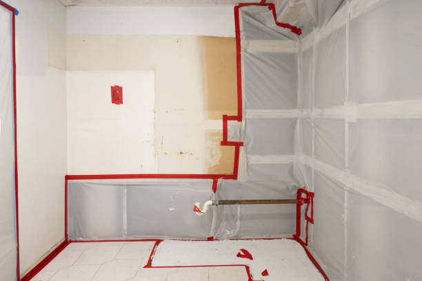Forensic Mold Investigation in Medford, OR